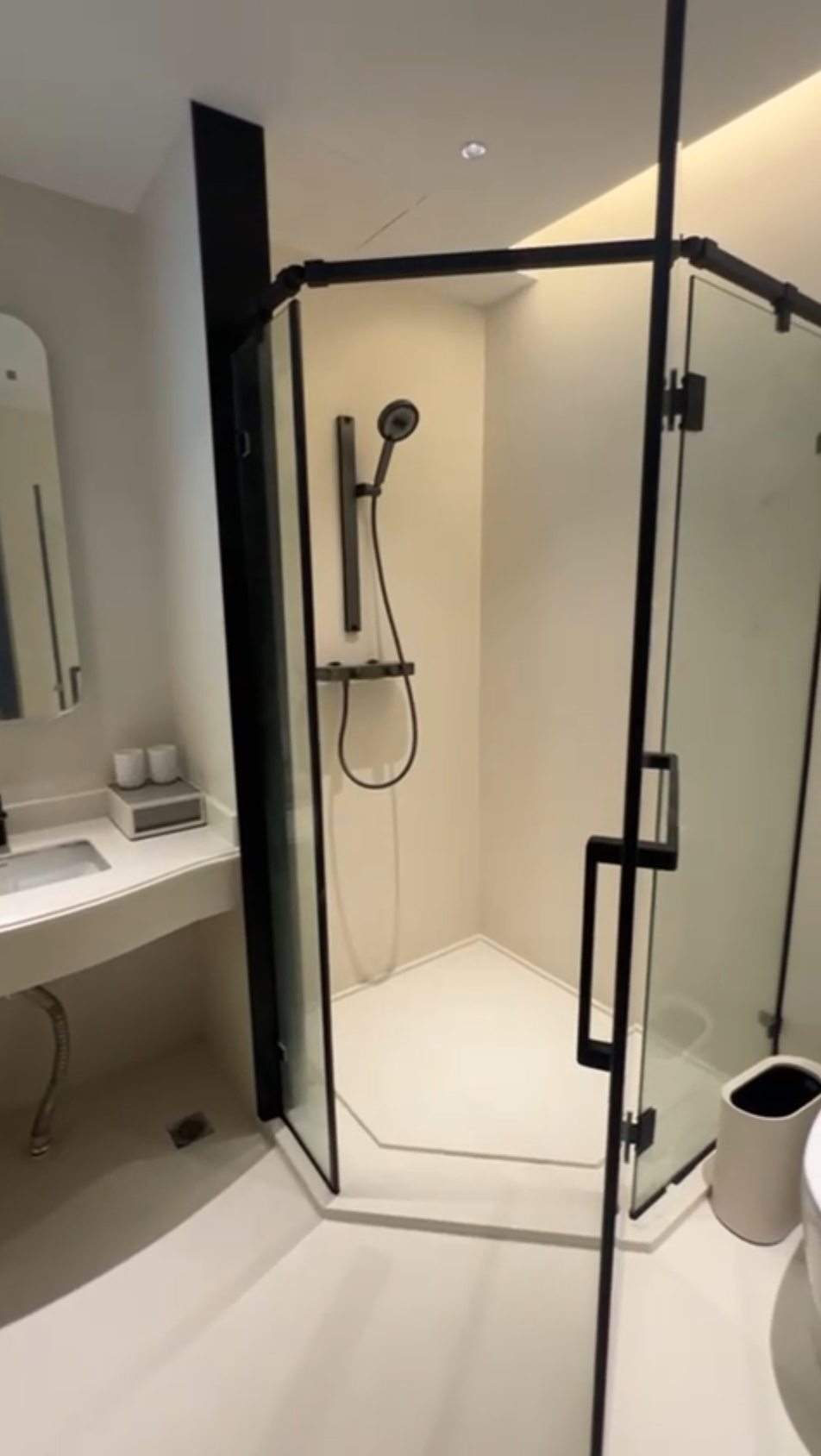 Lime Plaster Project